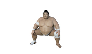 Sumo DOC