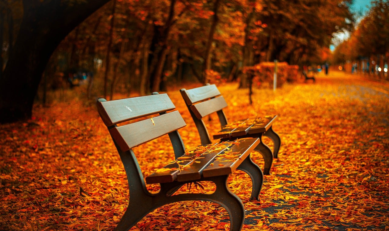Der Herbst ist da!